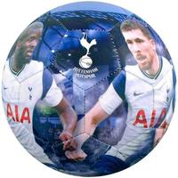 Accessoires Ballons de sport Tottenham Hotspur Fc  Blanc