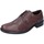 Chaussures Homme Senses & Shoes BE411 Marron