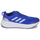 Chaussures Homme Running / trail adidas Performance QUESTAR Bleu / Blanc