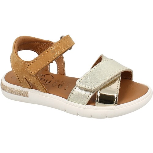 Chaussures Fille Save The Duck Bellamy EVI OR CAMEL