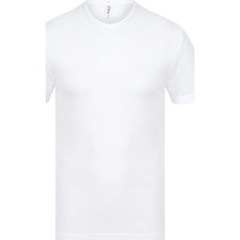 Vêtements Homme T-shirts manches courtes Absolute Apparel  Blanc