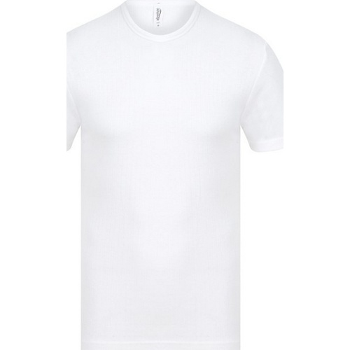 Vêtements Homme T-shirts manches courtes Absolute Apparel AB121 Blanc