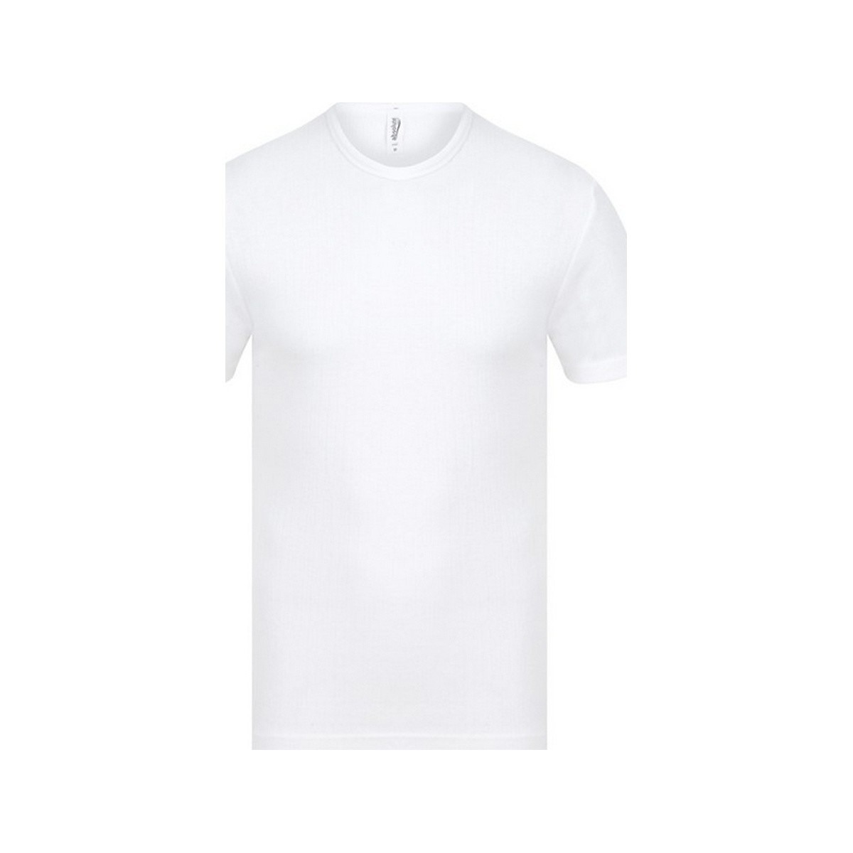 Vêtements Homme T-shirts manches courtes Absolute Apparel AB121 Blanc