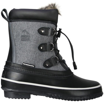 Chaussures Femme Bottes Hy  Gris