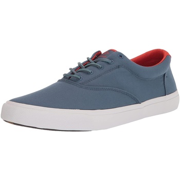Chaussures Homme Baskets basses Sperry Top-Sider  Gris