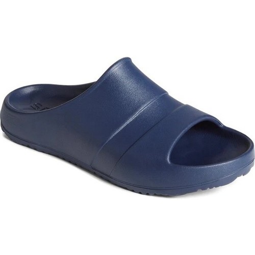 Chaussures Homme Sandales et Nu-pieds Sperry Top-Sider FS9115 Bleu