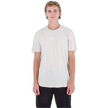 Vêtements Homme T-shirts & Polos Hurley T-shirt  Everyday Death In Paradise Blanc