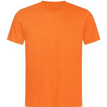 Vêtements Homme U.S Polo Assn Stedman Lux Orange