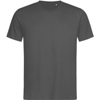 Vêtements Homme T-shirts Hilfiger manches longues Stedman Lux Gris