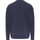 Vêtements Homme Sweats Tommy Jeans Reg Linear Placement Crew Sweater Bleu
