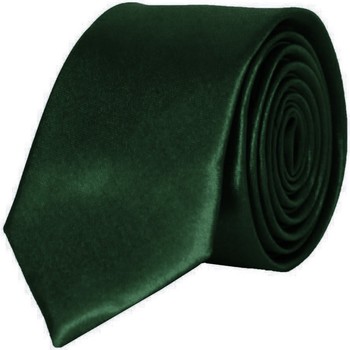 Vêtements Homme Cravates et accessoires Kebello Cravate Satin Slim Kaki H Kaki