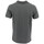 Vêtements Homme T-shirts & Polos Helvetica HALDER Gris