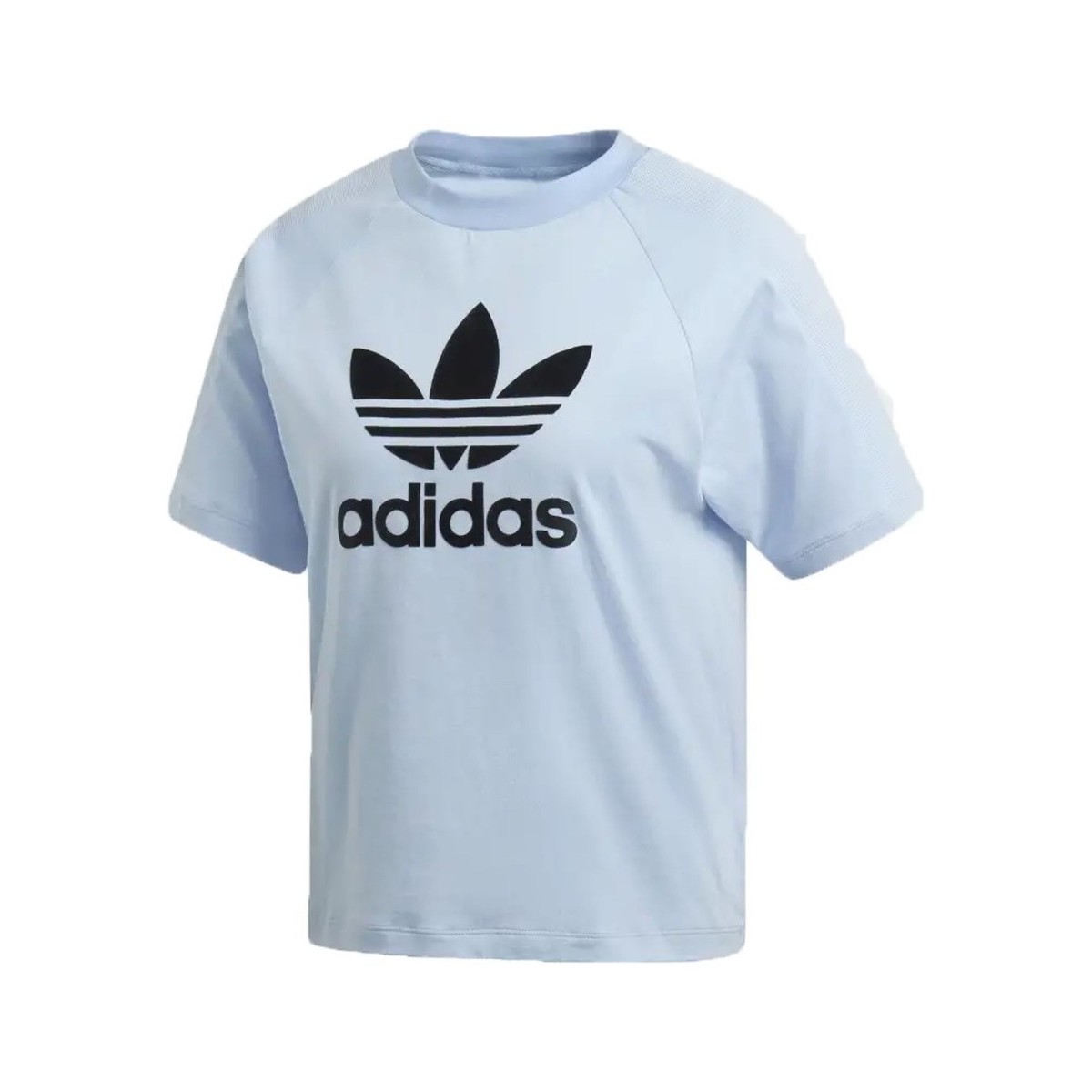 Vêtements Femme T-shirts & Polos adidas Originals Regular Tee Bleu