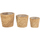 Maison & Déco Vases / caches pots d'intérieur Jolipa Cache pot en bois naturel 15 cm Beige