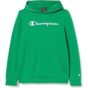 Vêtements Enfant Polaires Champion 305903 Vert