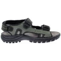Chaussures Sandales sport Grisport 81500 Marron
