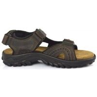 Chaussures Sandales sport Grisport 81561 Marron