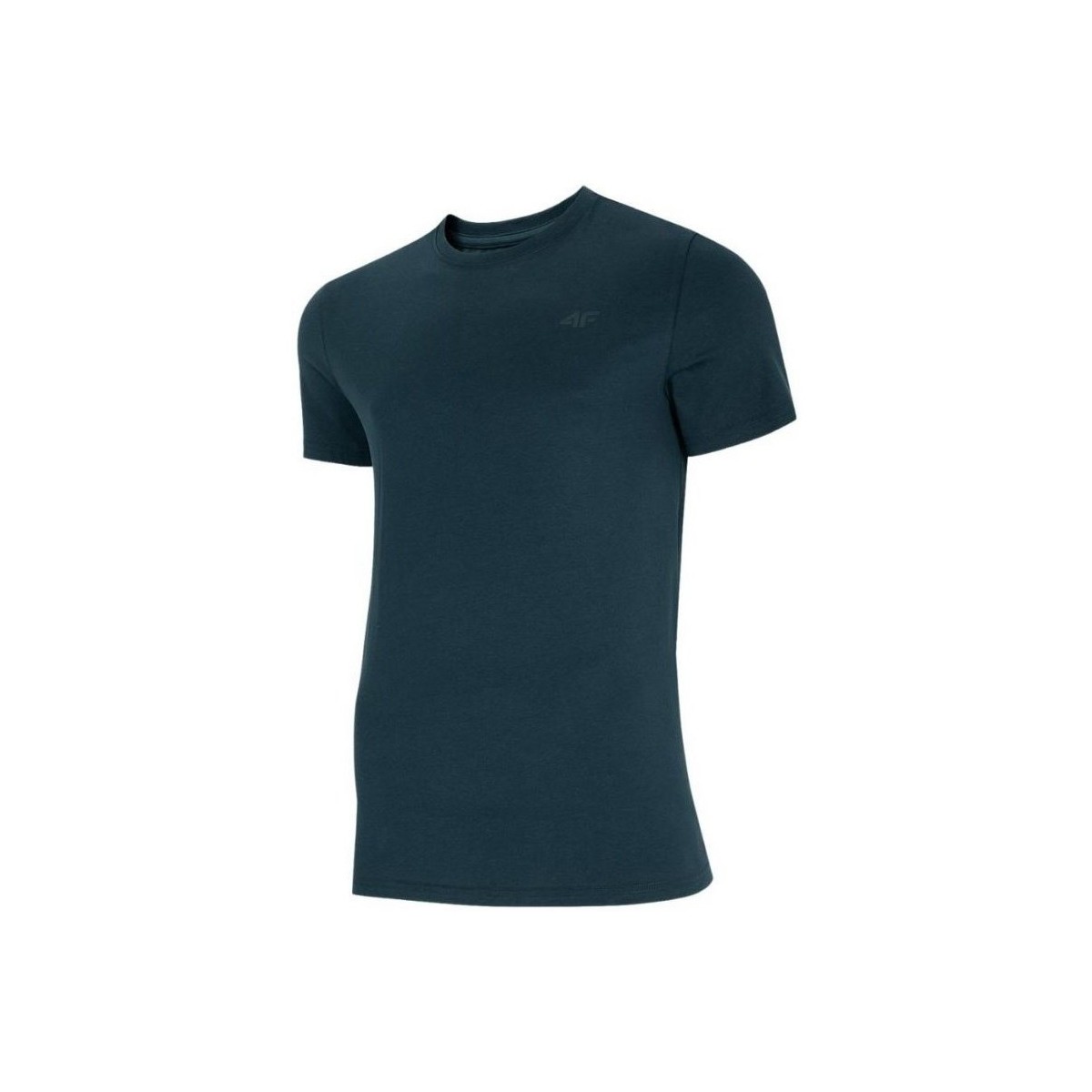 Vêtements Homme T-shirts Garment manches courtes 4F TSM352 Vert