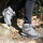 Chaussures Femme Randonnée Trezeta 010716130 Gris