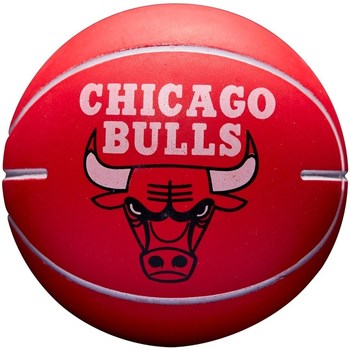 Accessoires Ballons de sport Wilson Nba Dribbler Chicago Bulls Mini Rouge