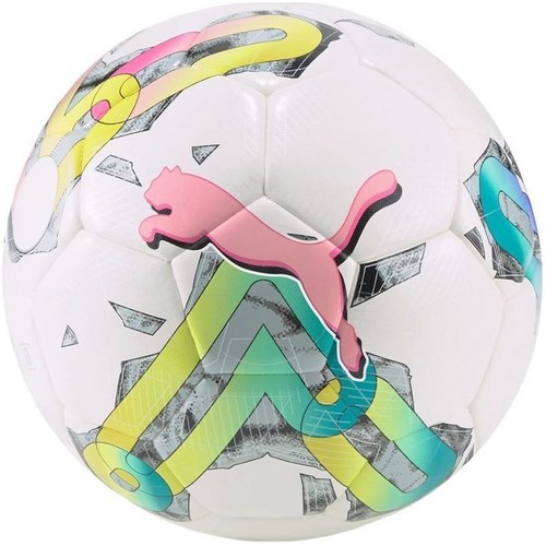 Accessoires Ballons de sport Puma Utilisez au minimum 8 caractères Blanc