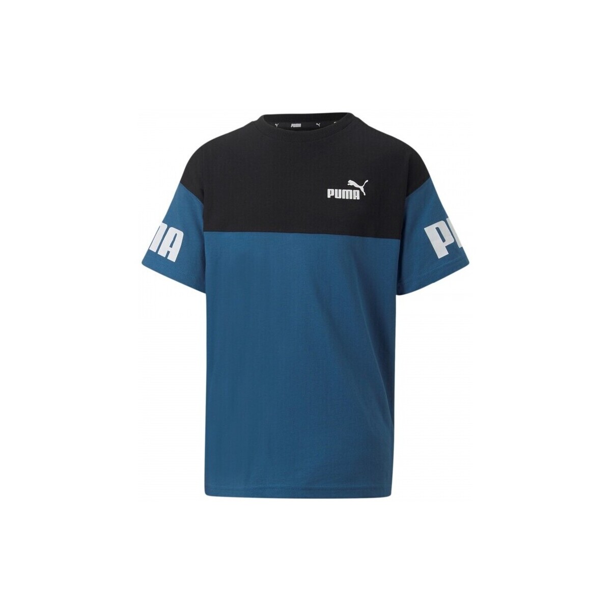Vêtements Garçon T-shirts manches courtes Puma TEE SHIRT JR P PWR CLB - LAKE BLUE - 128 Bleu