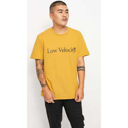 Vêtements Homme T-shirts manches courtes Globe Glove LV Tee Honey Jaune