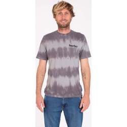 Vêtements Homme T-shirts manches courtes Hurley Camiseta  Everyday washed Tie Dye Particly Grey Gris