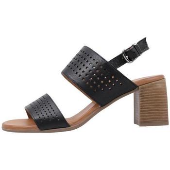 Chaussures Femme Paniers / boites et corbeilles Sandra Fontan LUGANO Noir