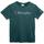 Vêtements Garçon T-shirts manches courtes Champion  Vert