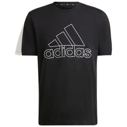 Vêtements Homme T-shirts & Polos adidas Originals TEE-SHIRT  NOIR - Noir - L Noir