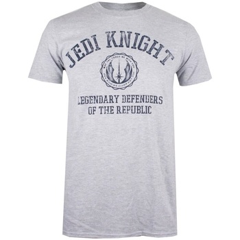Vêtements Homme T-shirts manches longues Disney Legendary Defenders Of The Republic Gris