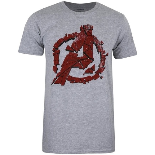 Vêtements Homme T-shirts manches longues Avengers Endgame  Gris