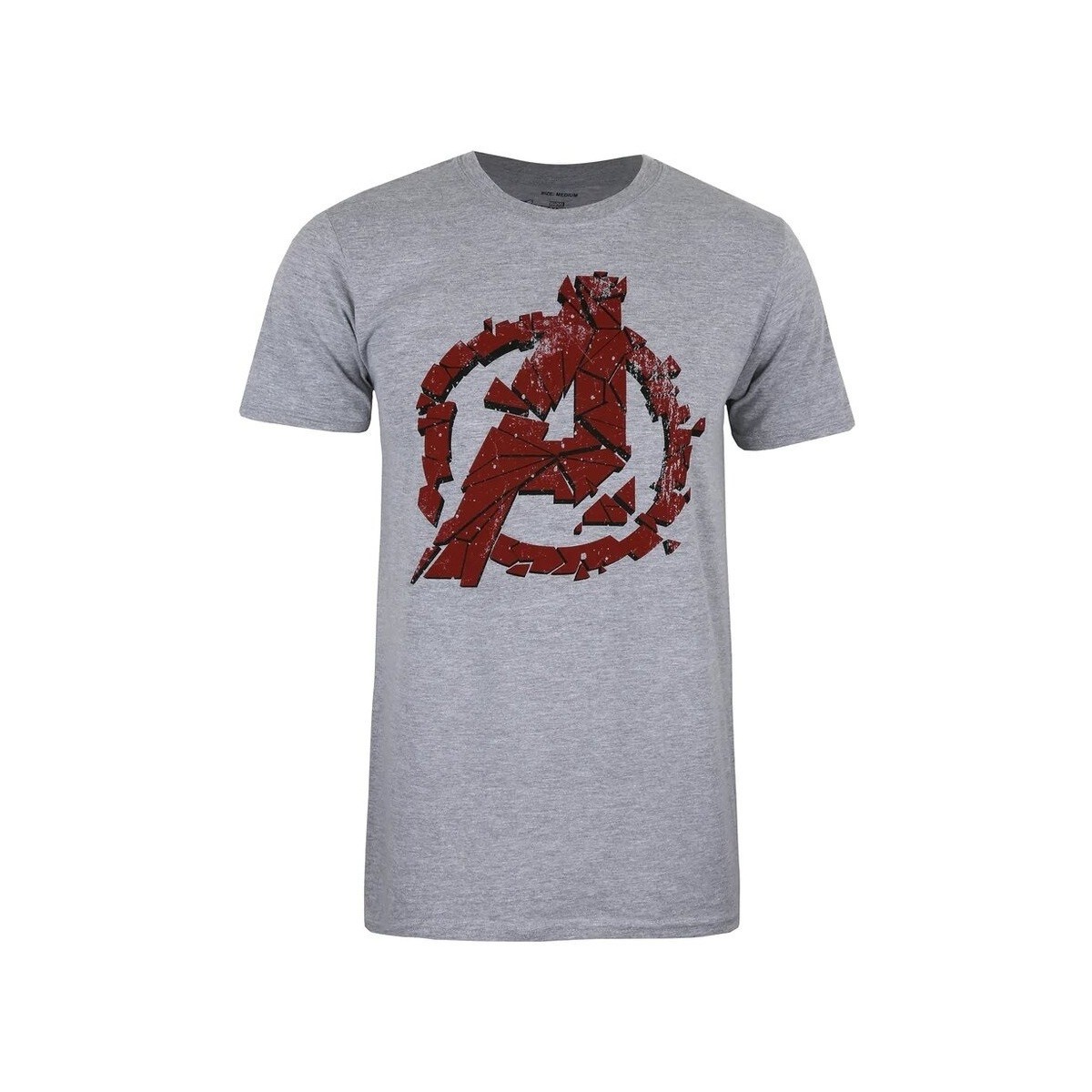 Vêtements Homme T-shirts manches longues Avengers Endgame TV1646 Gris