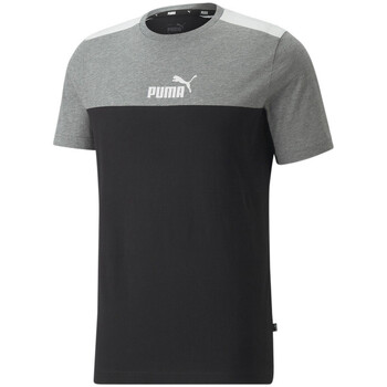 Vêtements Homme T-shirts manches courtes Puma 847426-01 Gris