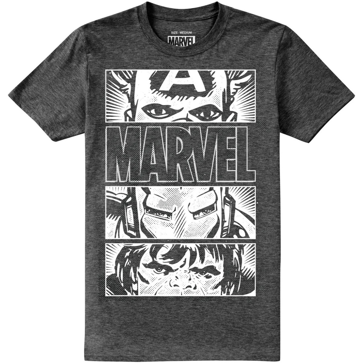 Vêtements Homme T-shirts manches longues Marvel Heroes Eyes Gris
