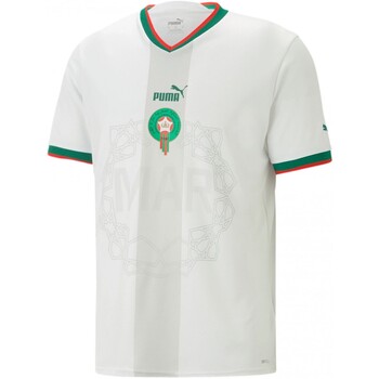 Vêtements Homme T-shirts manches courtes Puma Frmf Away Jersey Blanc