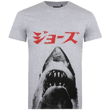 Vêtements Homme T-shirts manches longues Jaws TV1633 Gris