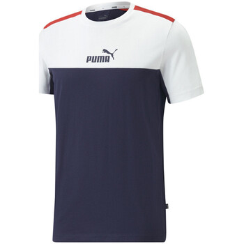 Vêtements Homme T-shirts & Polos Puma 847426-06 Bleu