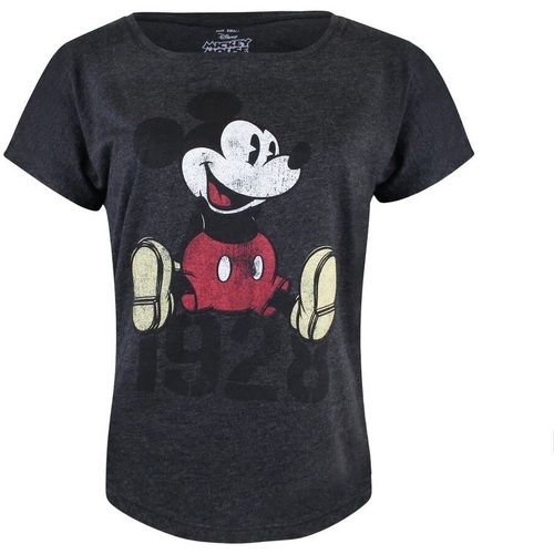 Vêtements Femme T-shirts manches longues Disney TV1668 Gris
