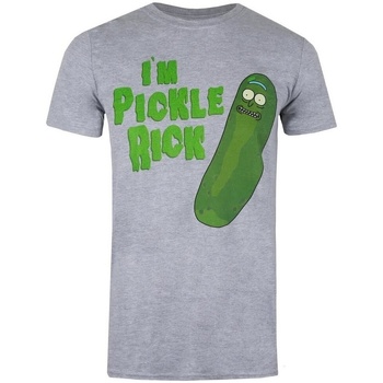 Vêtements Strada T-shirts manches longues Rick And Morty I’m Pickle Rick Gris