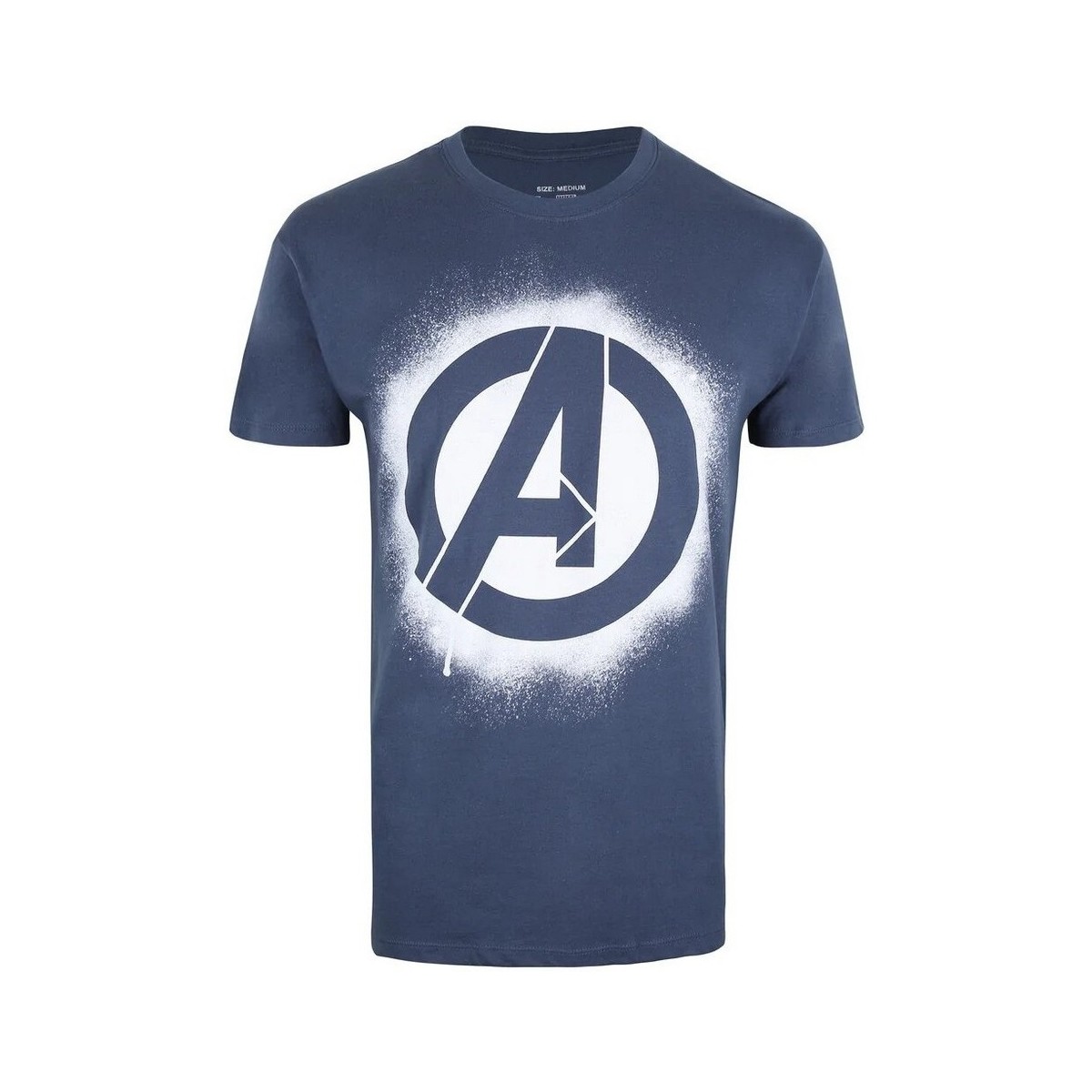 Vêtements Homme T-shirts manches longues Avengers TV1682 Multicolore