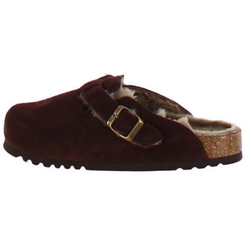 Chaussures Femme Chaussons Scholl Chausson Marron