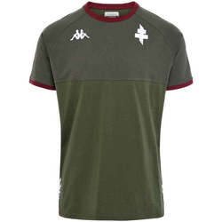 Vêtements Homme T-shirts manches courtes Kappa T-shirt Ayba 6 FC Metz 22/23 Vert