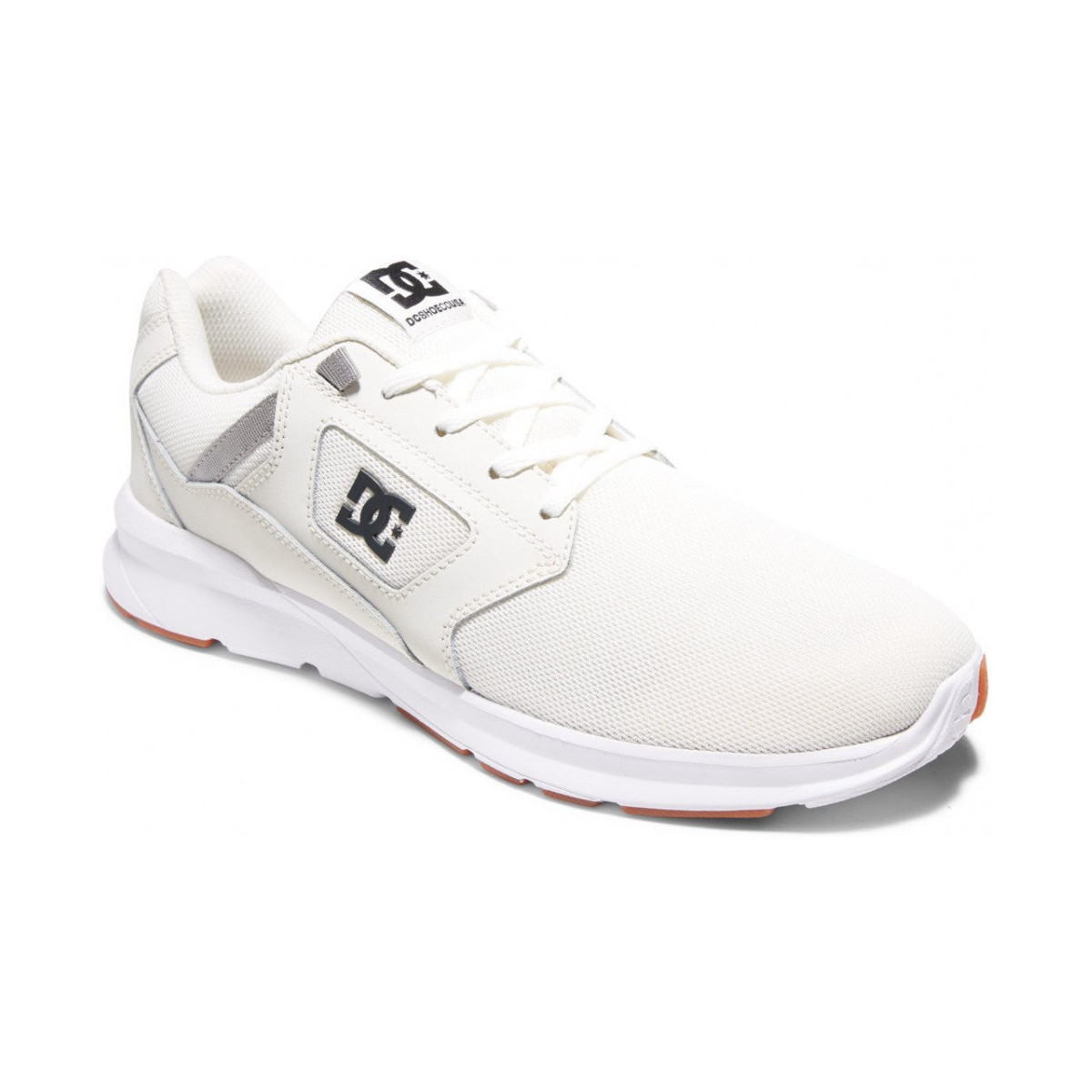 Chaussures Chaussures de Skate DC Shoes SKYLINE off white Blanc