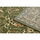 Maison & Déco Tapis Rugsx BCF Tapis Morad KLASYK classique - olive verte 60x110 cm Vert