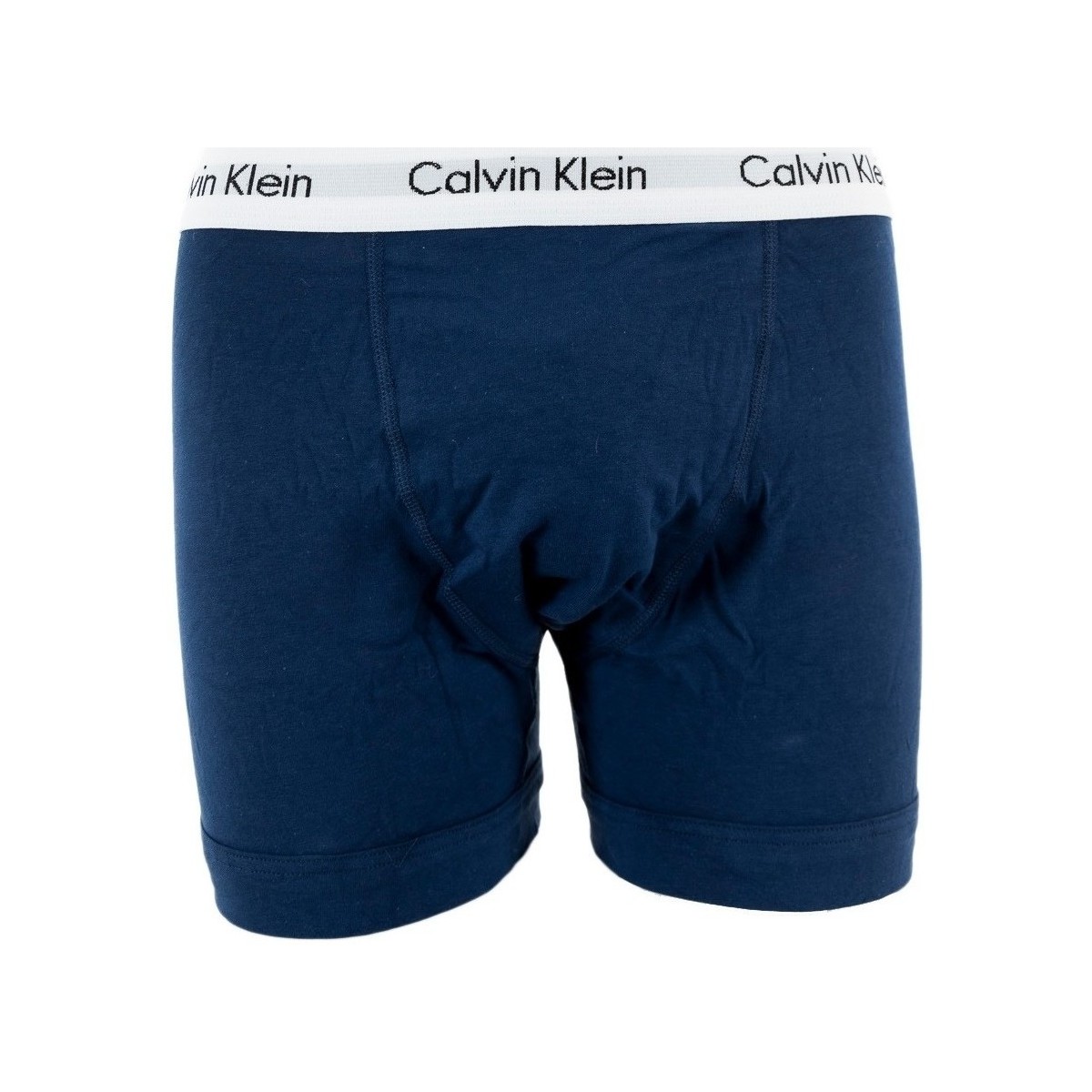 Sous-vêtements Homme Caleçons Calvin Klein Jeans 0000u2662g Bleu