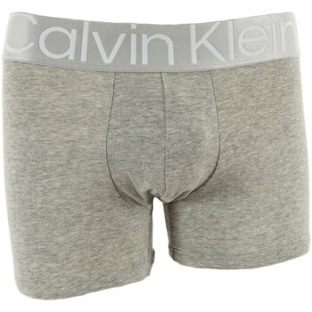 Sous-vêtements Homme Caleçons Calvin Klein Jeans 000nb3130a Gris