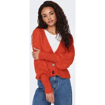 Vêtements Femme Pulls Only 15259311 ONLCHUNKY-RED CLAY Rouge