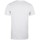 Vêtements Homme T-shirts manches longues Avengers Endgame Quantum Blanc